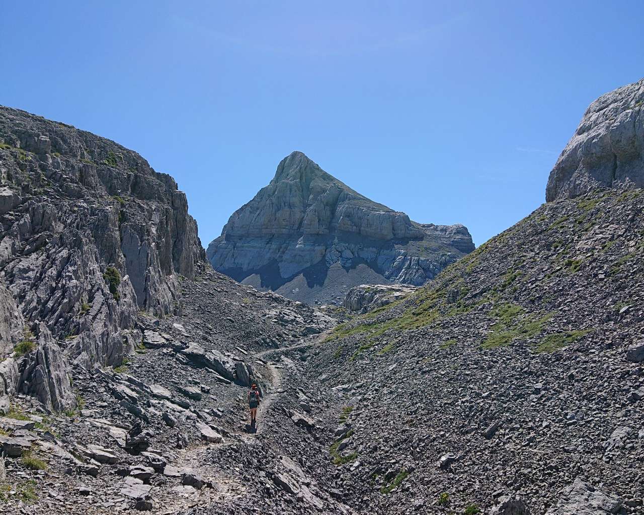 image_1
